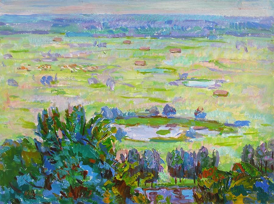 Vasyl Chehodar