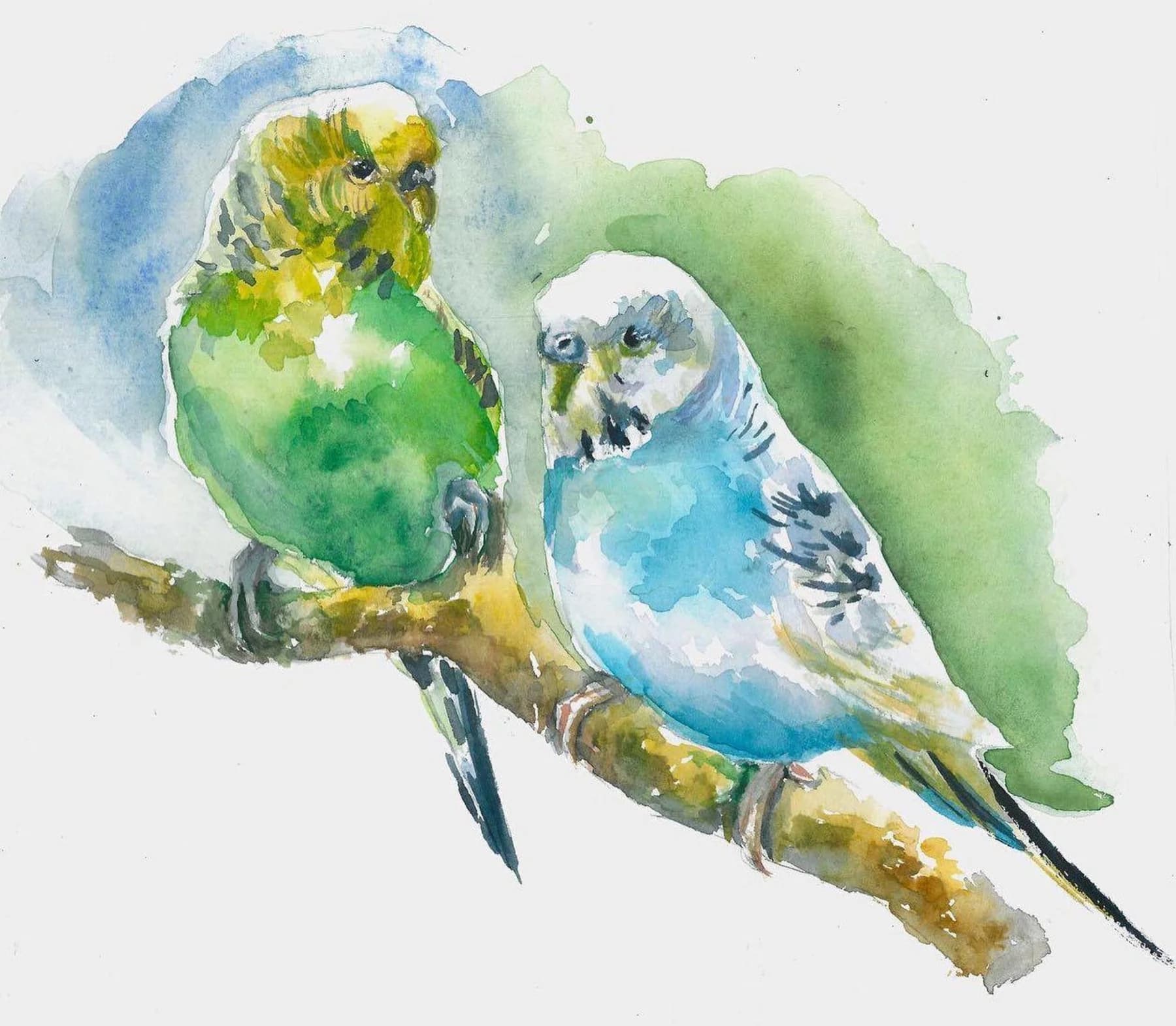 Watercolour, a Pair of Parrots