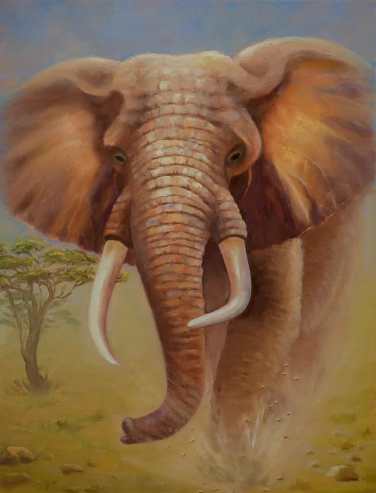 African Elephant