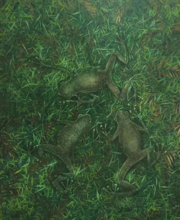 Frogs FG 001