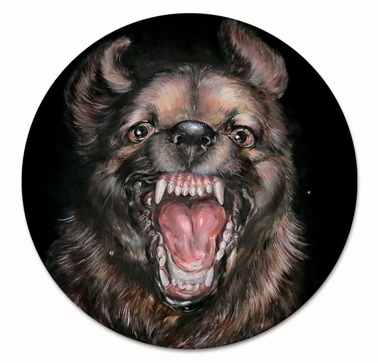 Dog