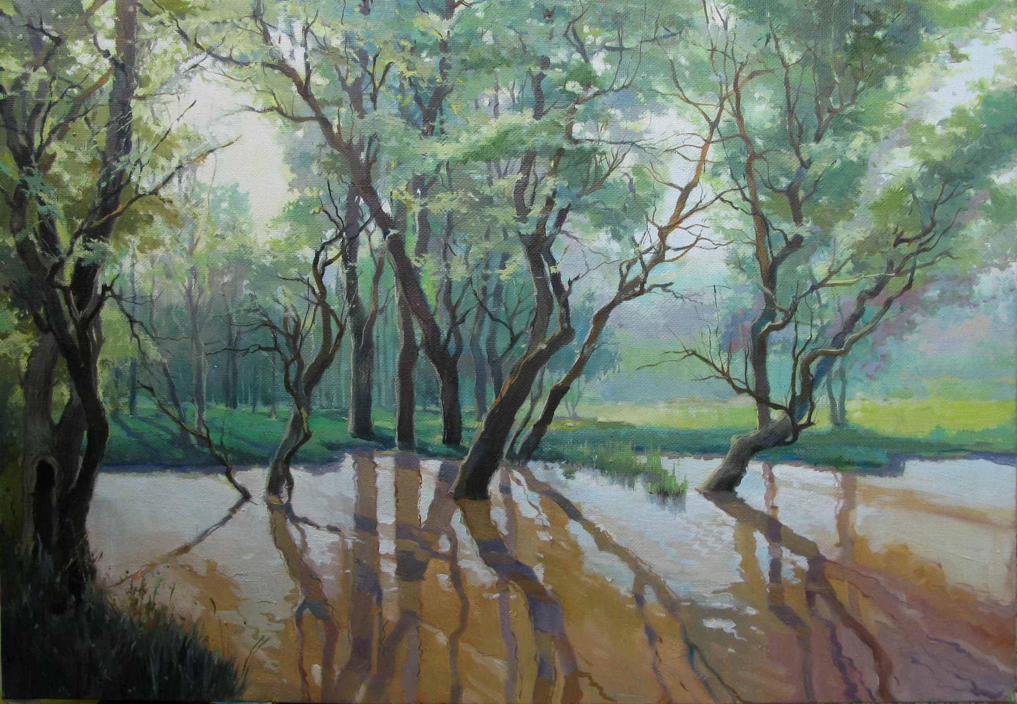 Quiet Backwater