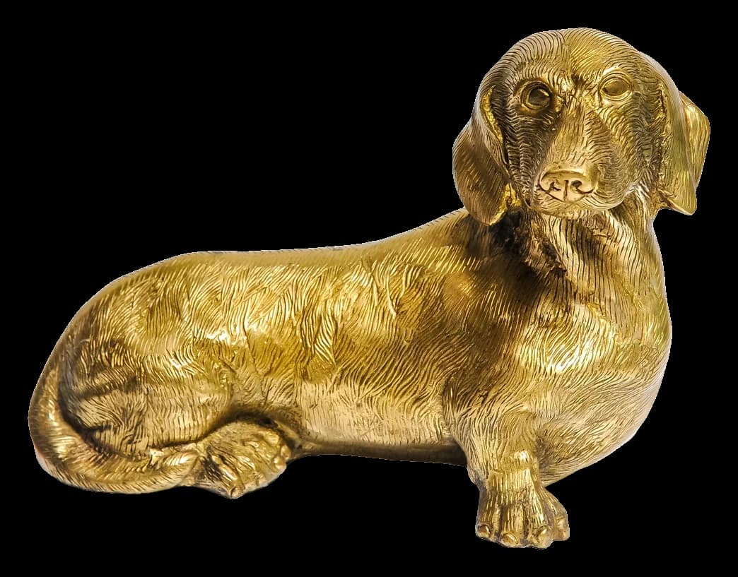 Dachshund D001