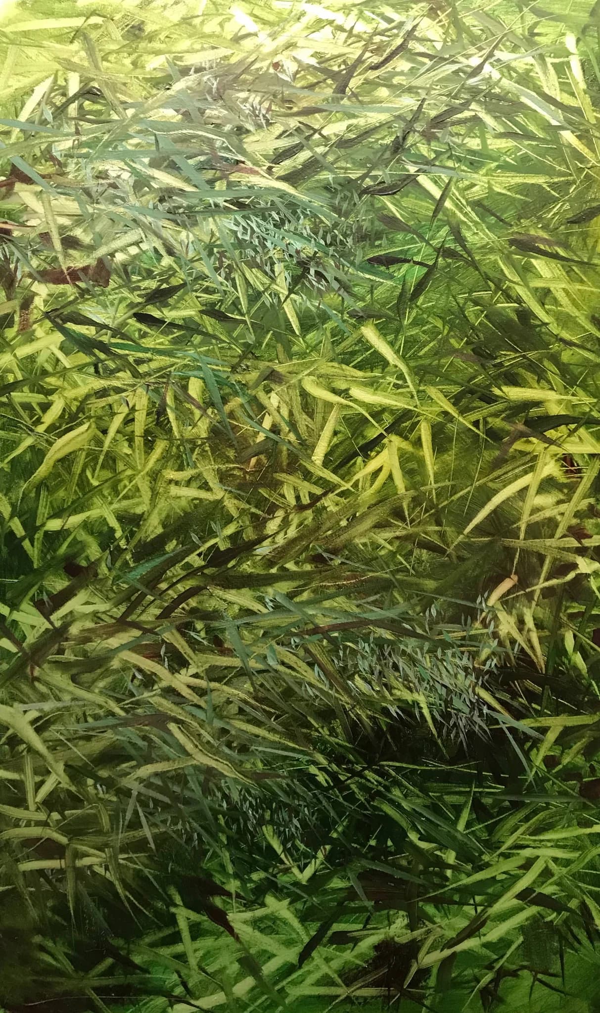 Green GG001