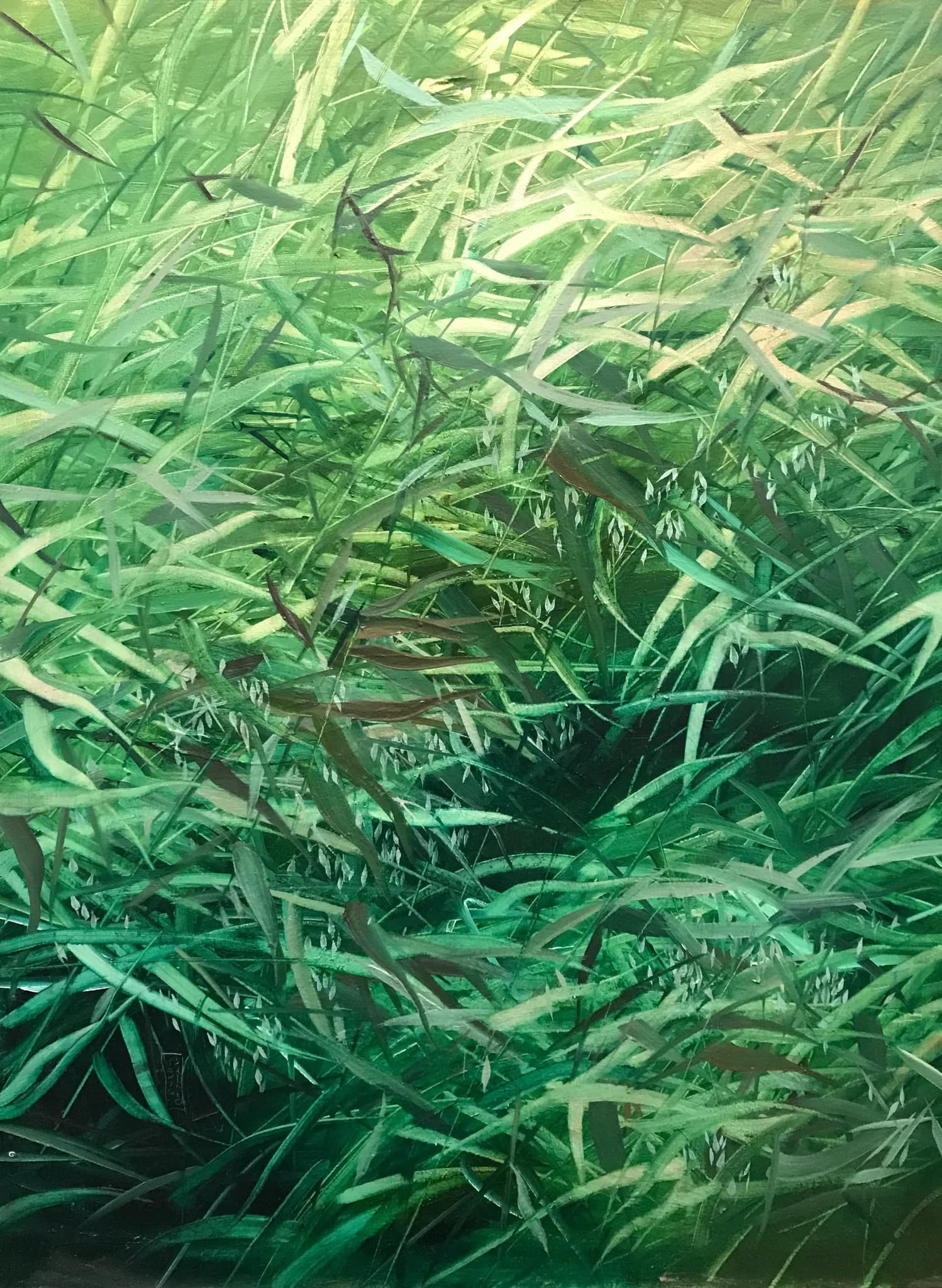 Green GG002