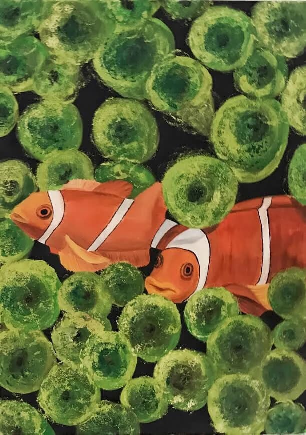Coral Reef