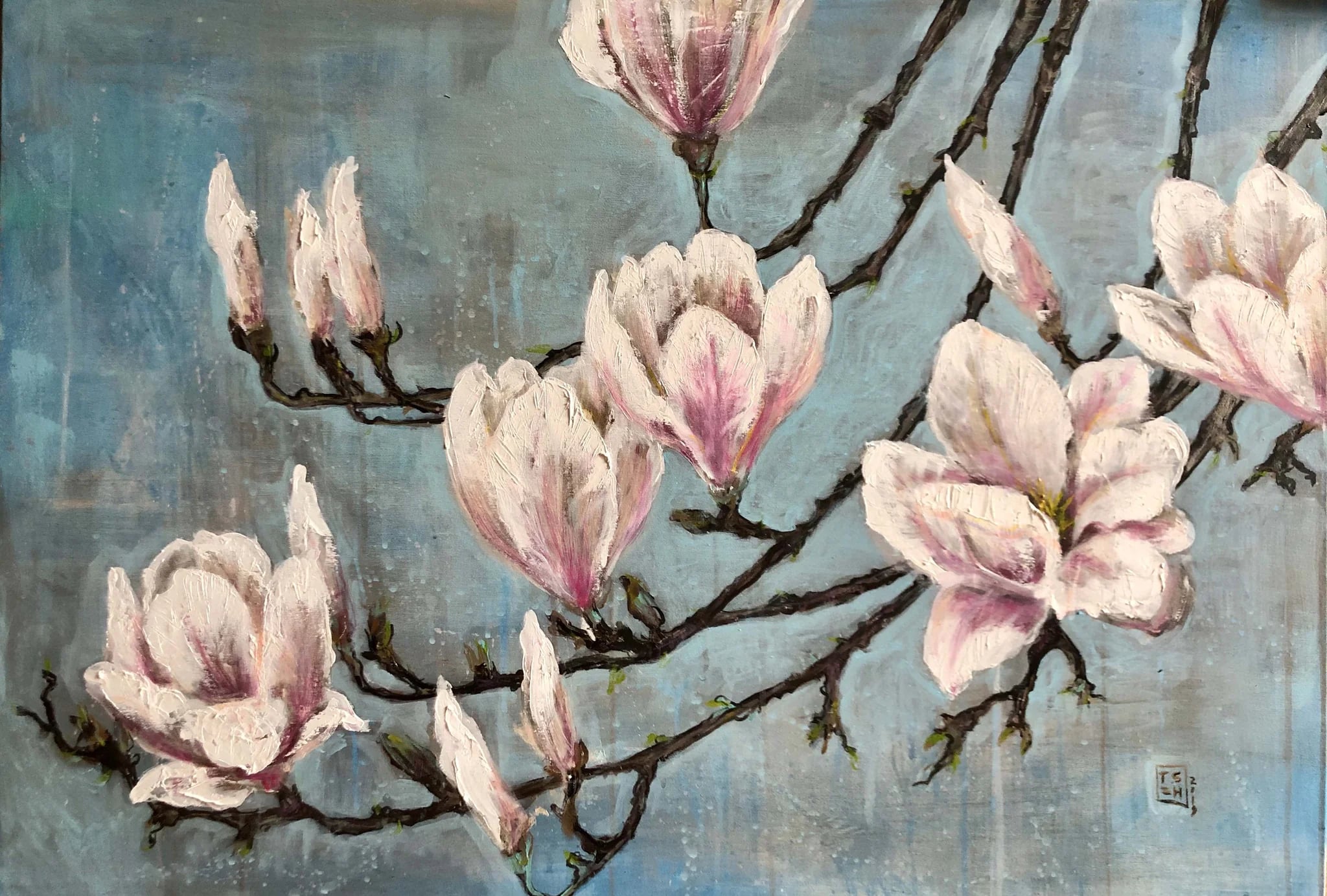 Magnolias