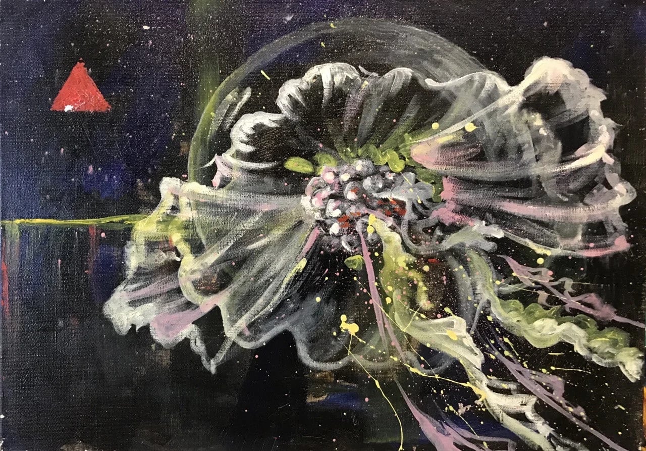 Jellyfish 1