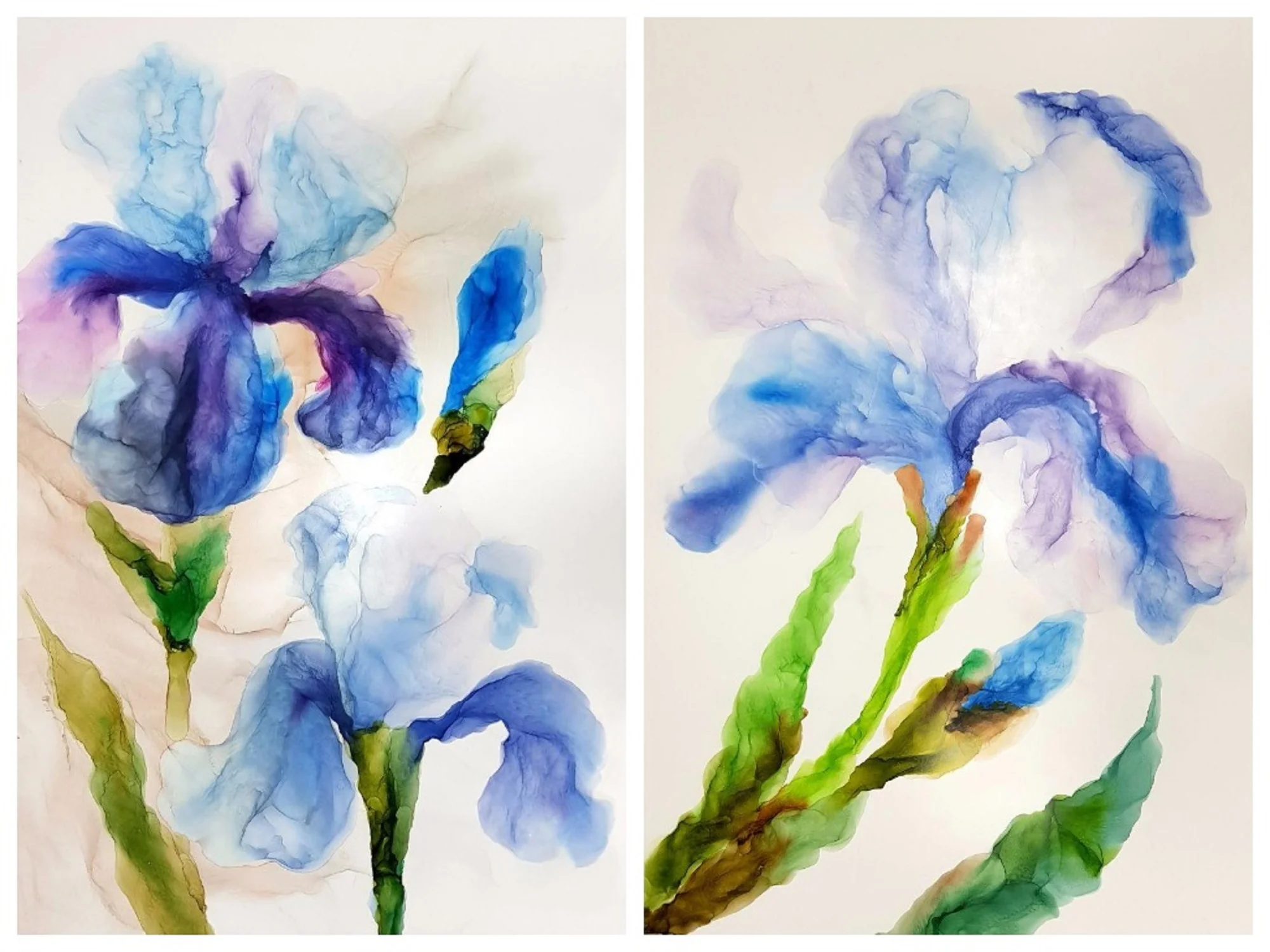 Irises (diptych)