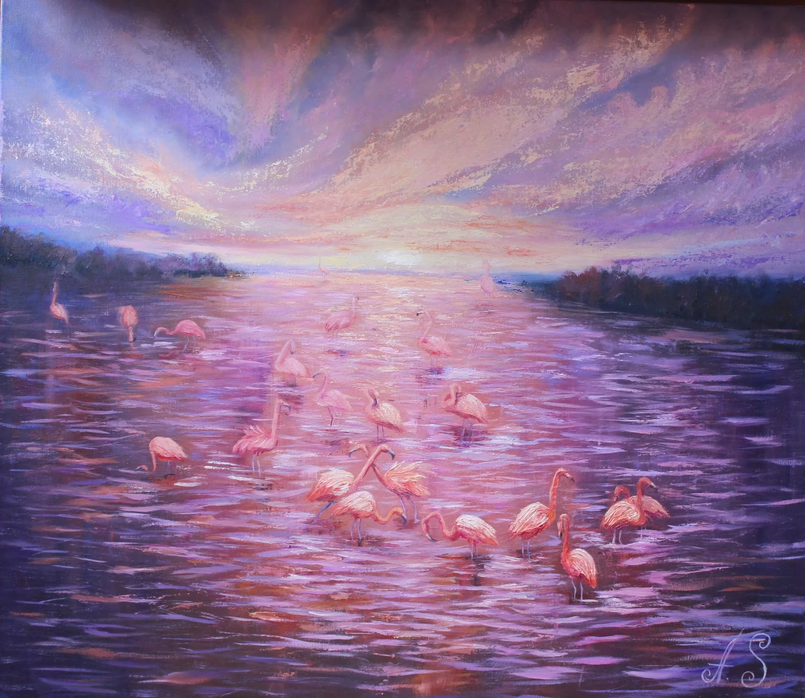 Pink Flamingos