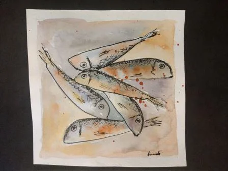 Red Mullet