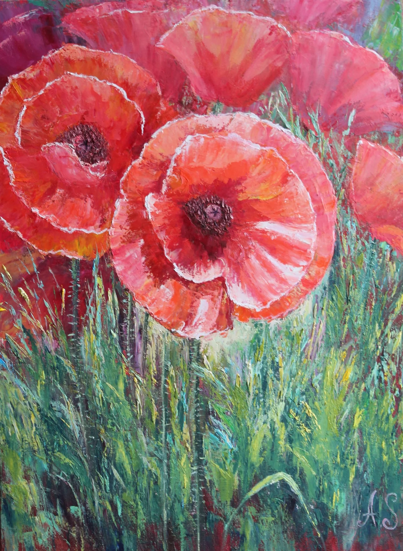 Poppies