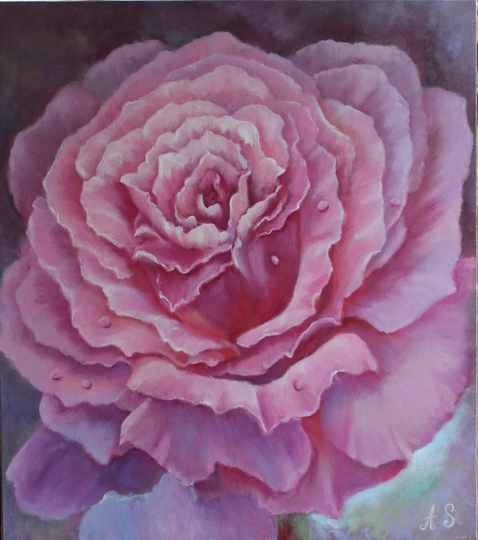 Rose