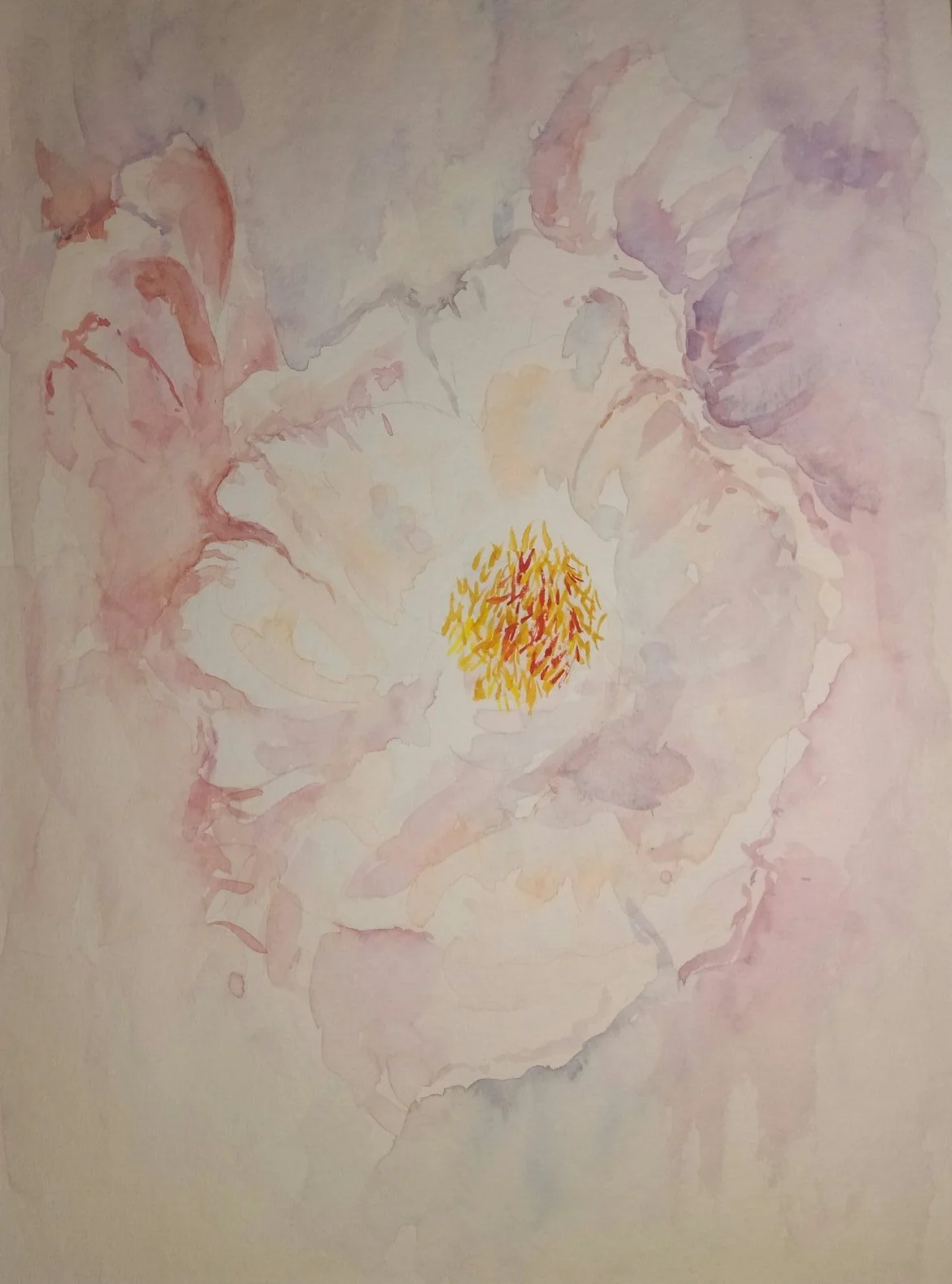 Rosehip