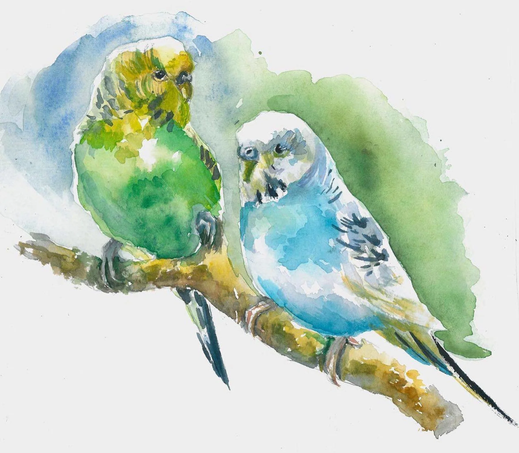 Watercolour, a Pair of Parrots