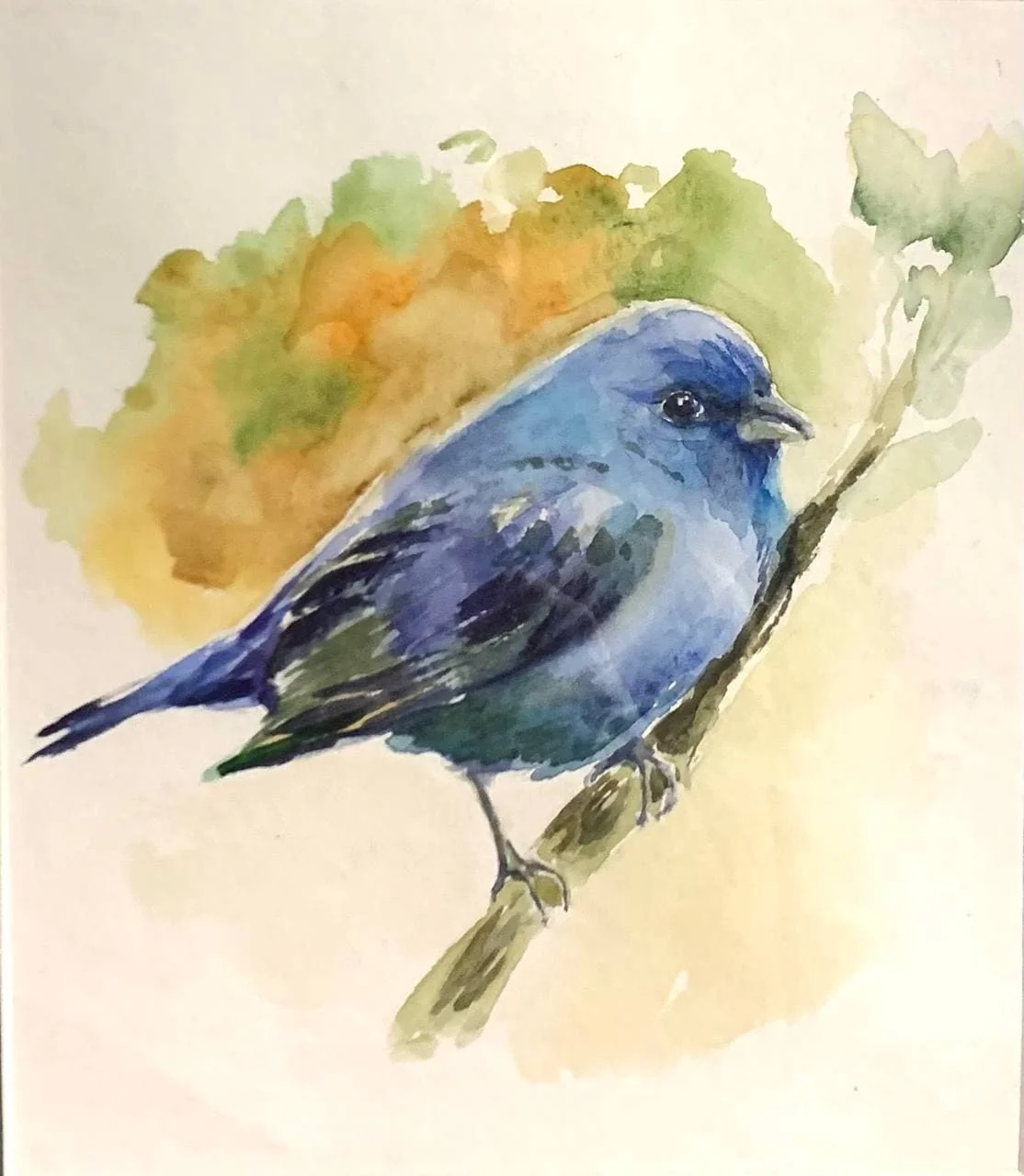 Bluebird