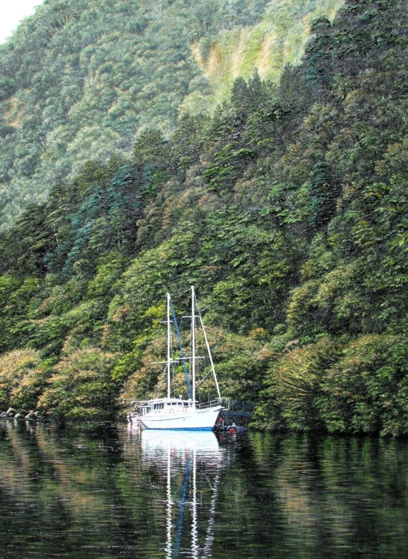 Journey through a Norwegian Fjord