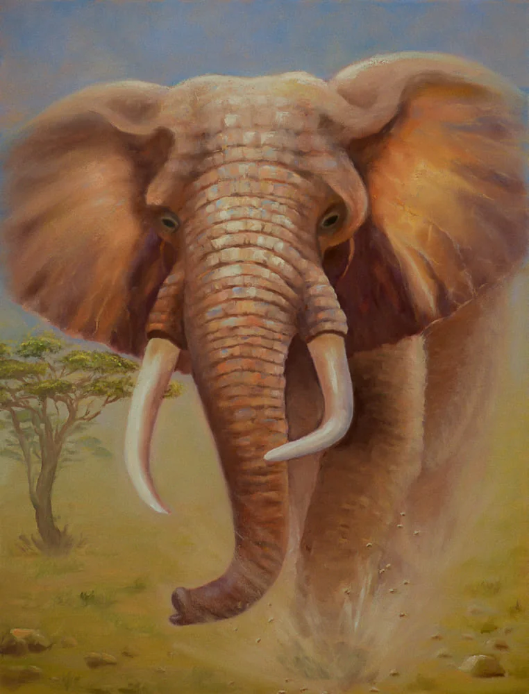 African Elephant
