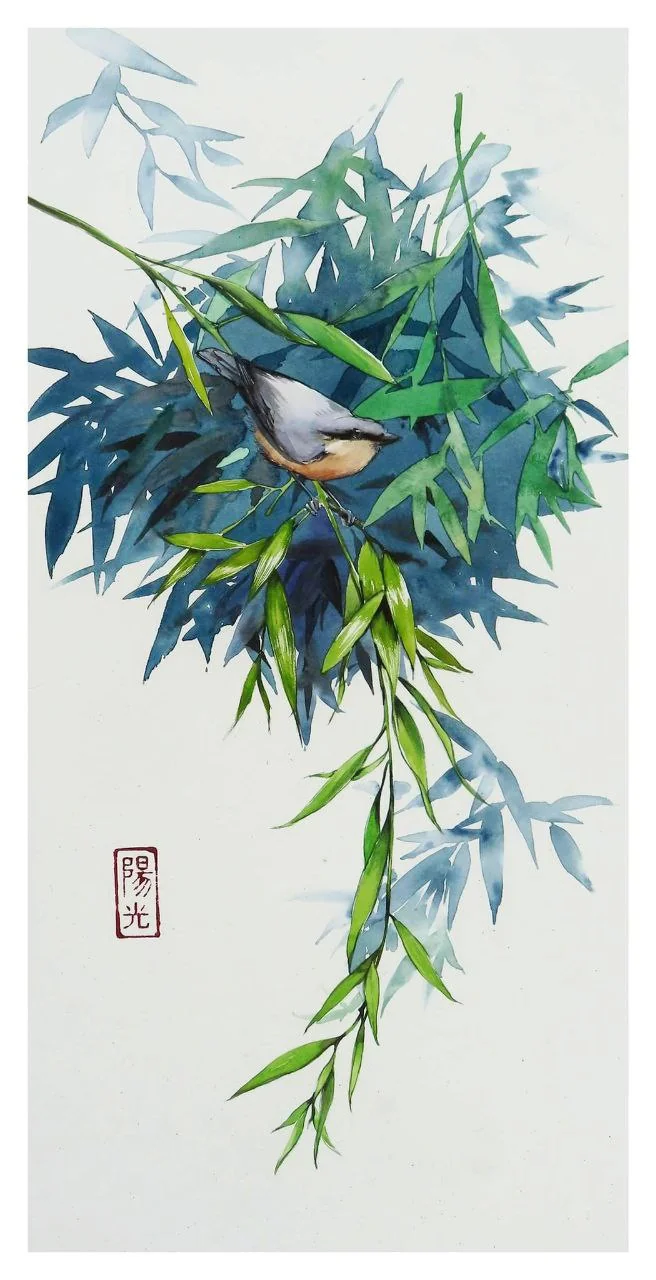 Willow Branch