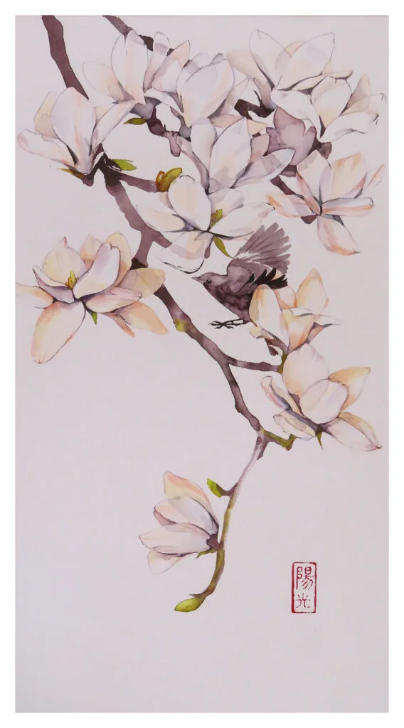 Magnolias