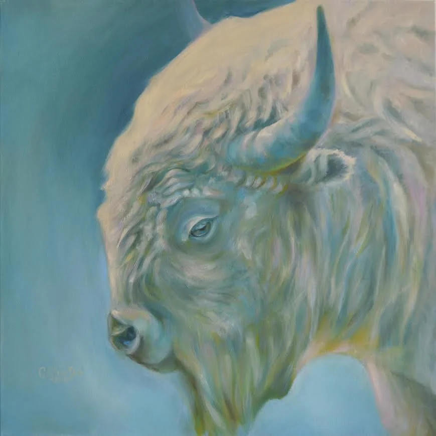 Bison