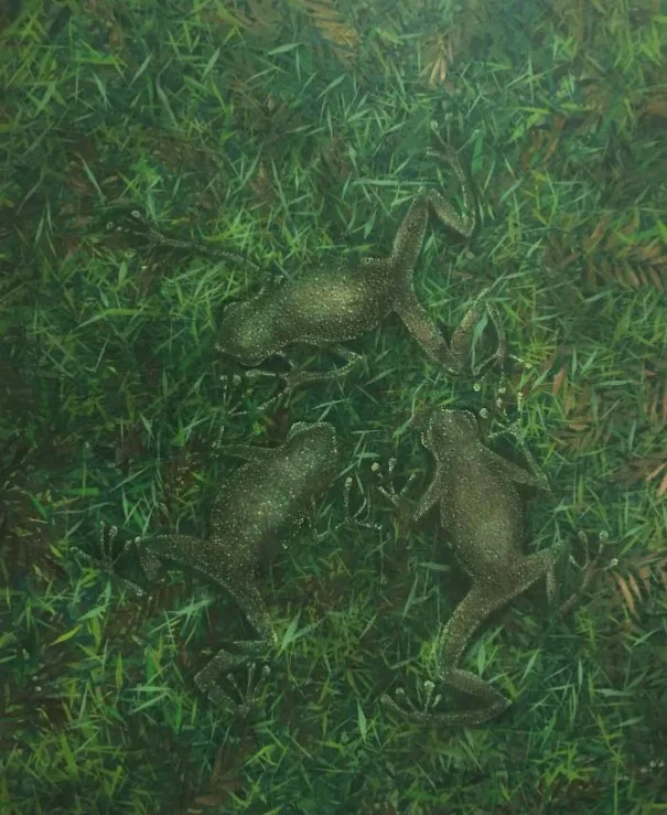 Frogs FG 001