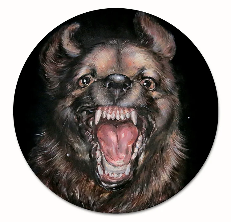 Dog