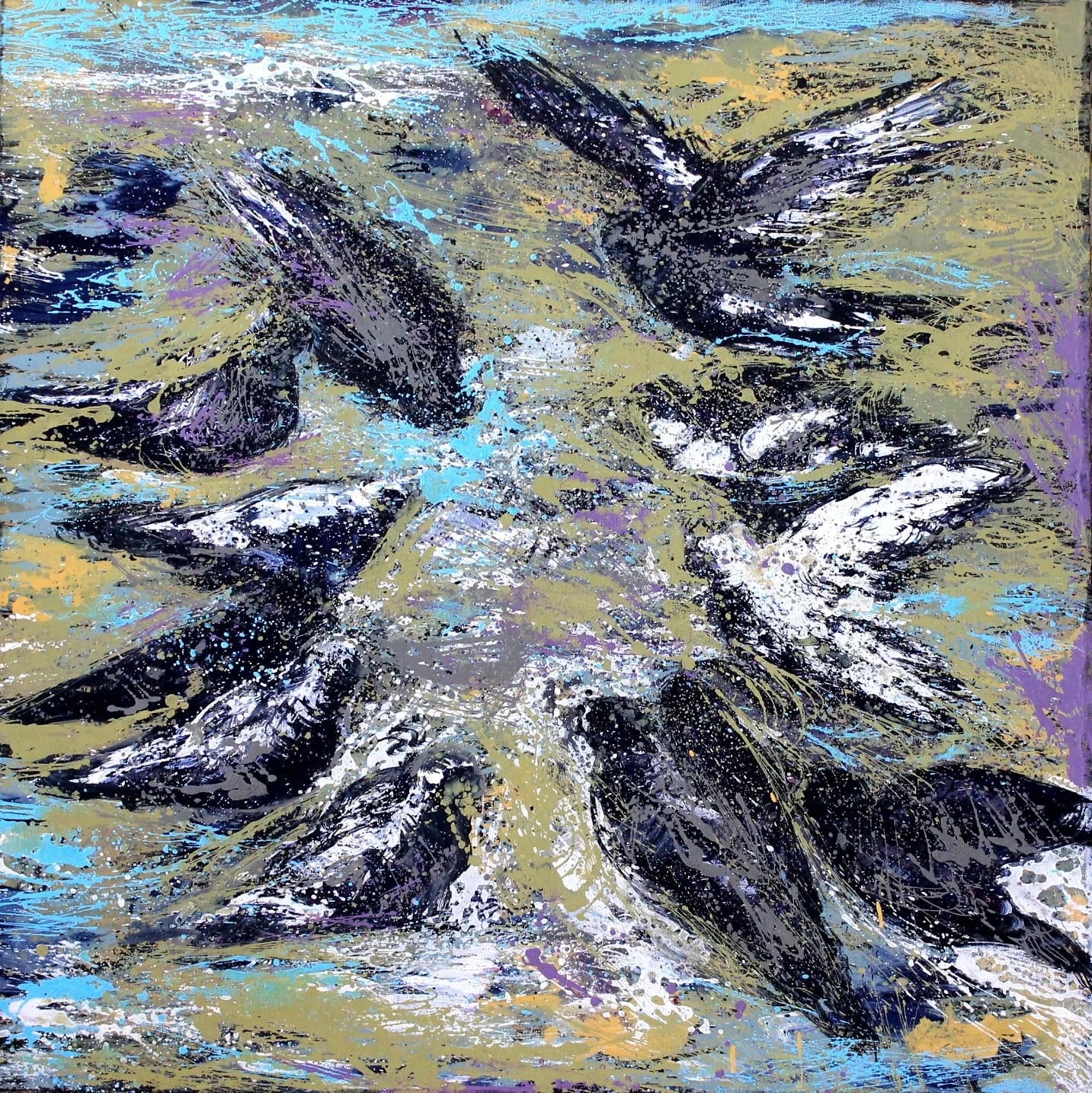 Birds in the Water