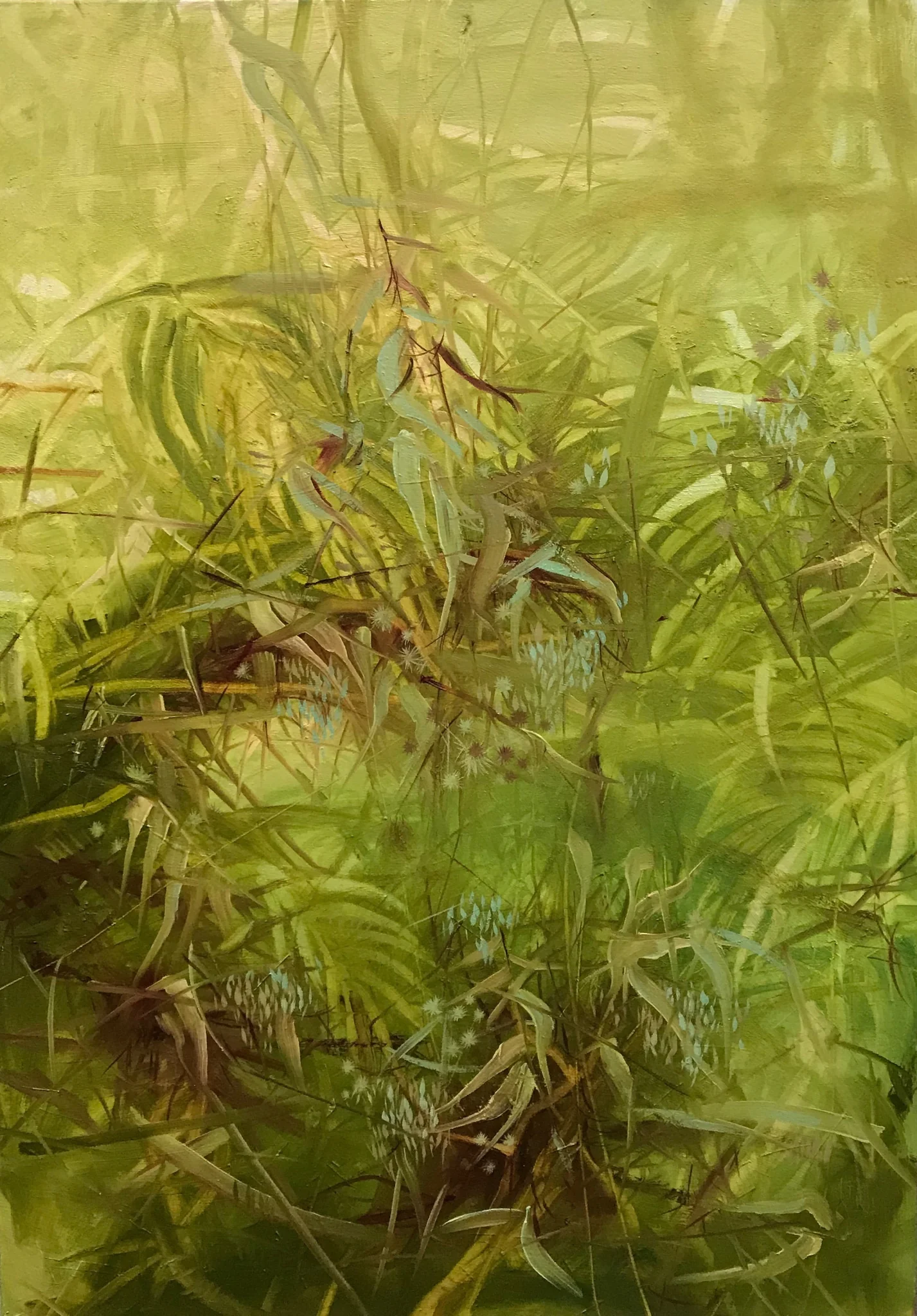The Tropics