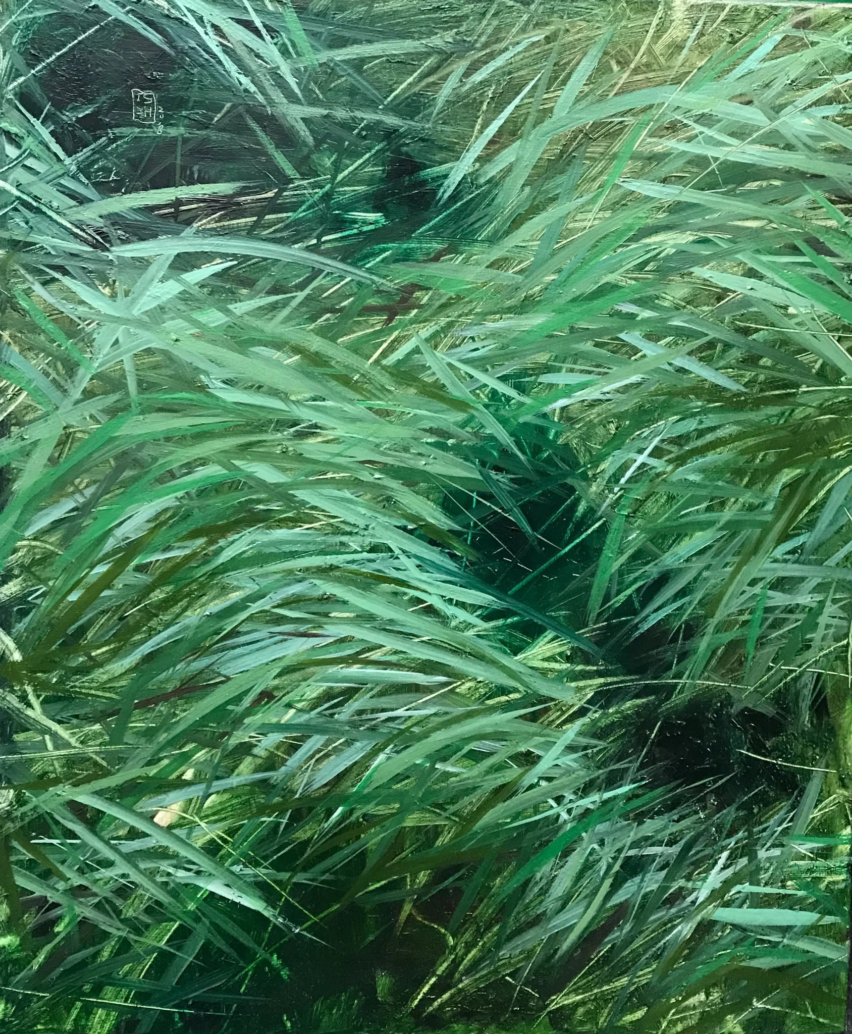 Grass 1
