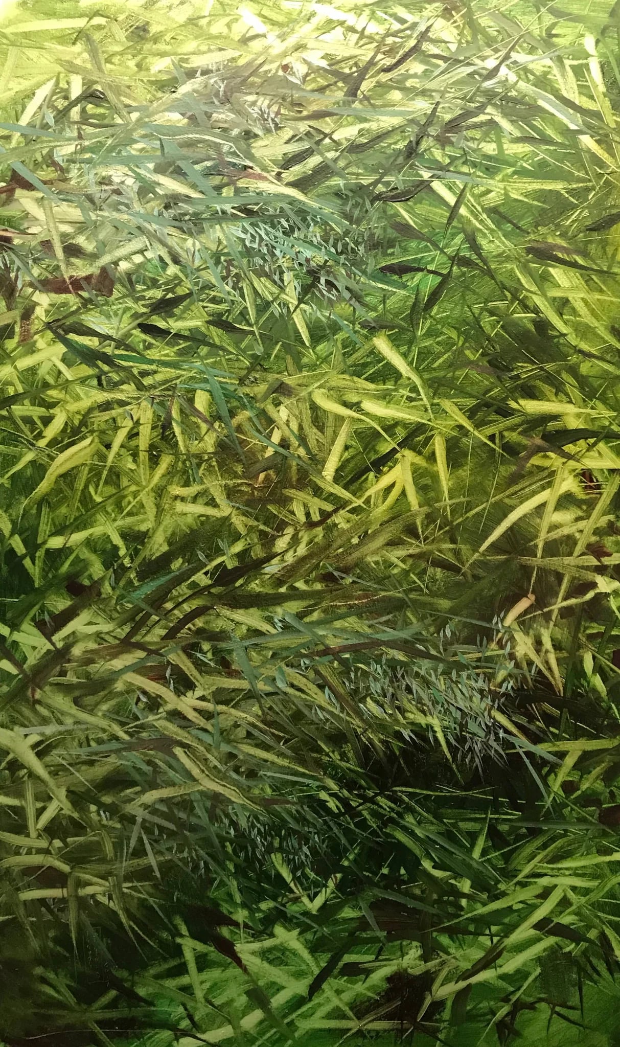 Green GG001