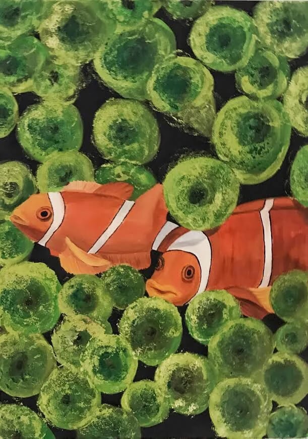 Coral Reef