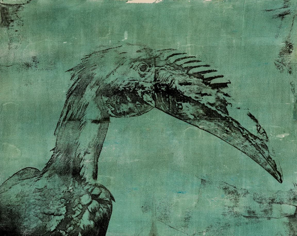 Green Bird