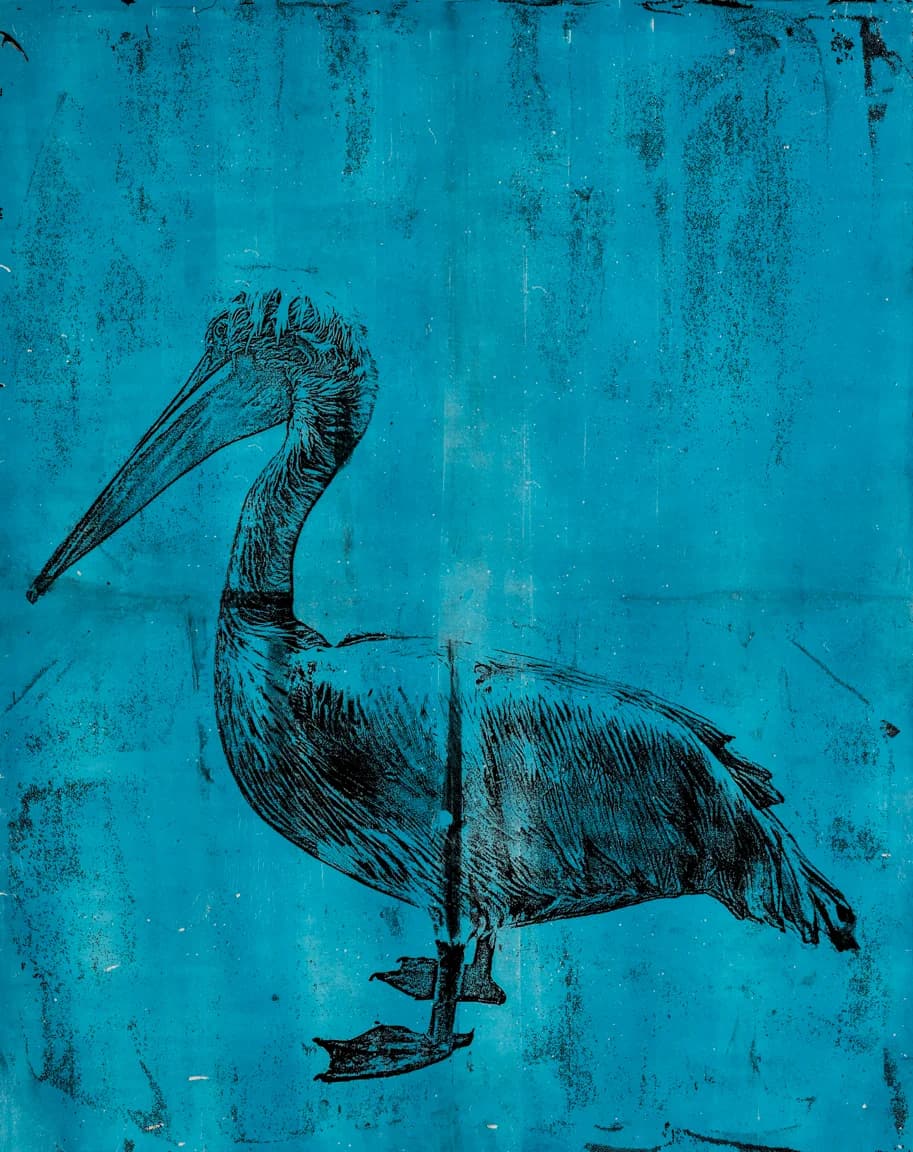 A Pelican on Blue