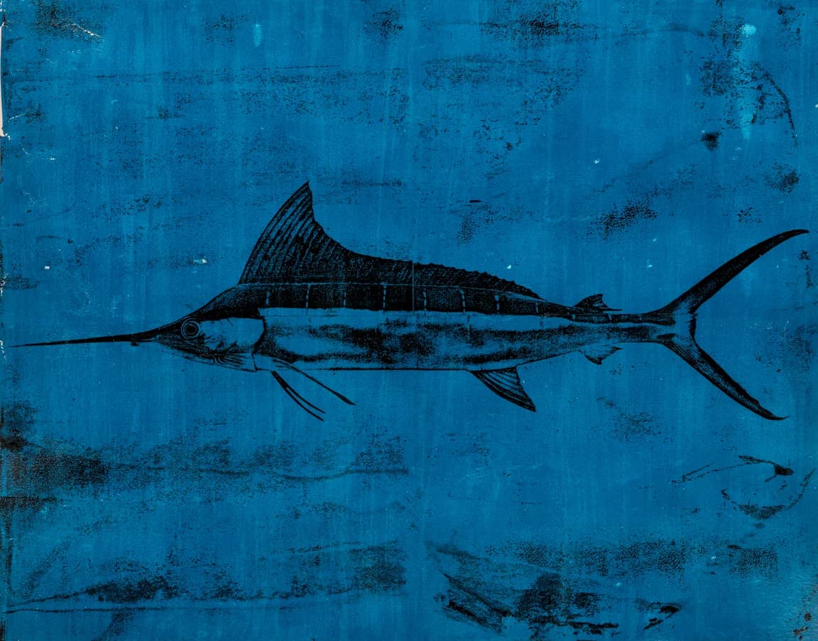 Sailfish
