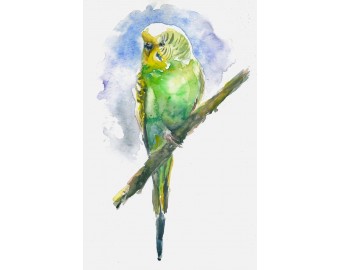 Art Market - Photo 18