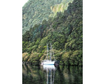 Art Market - Photo 2