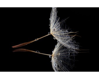 Art Market - Photo 9