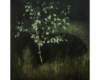 Paintings - Photo 13