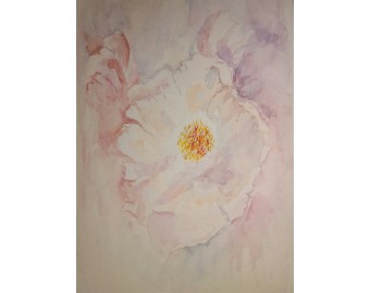 Art Market - Photo 11