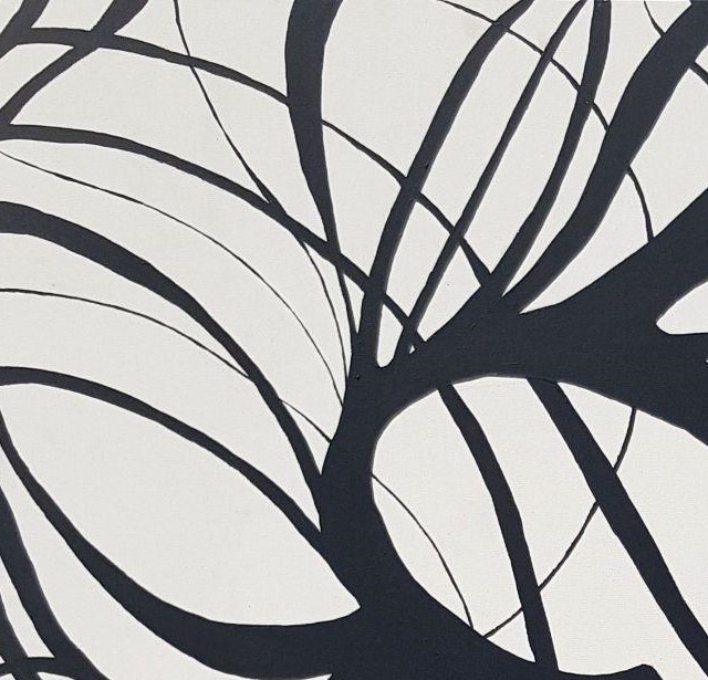 Transformation: the beginning