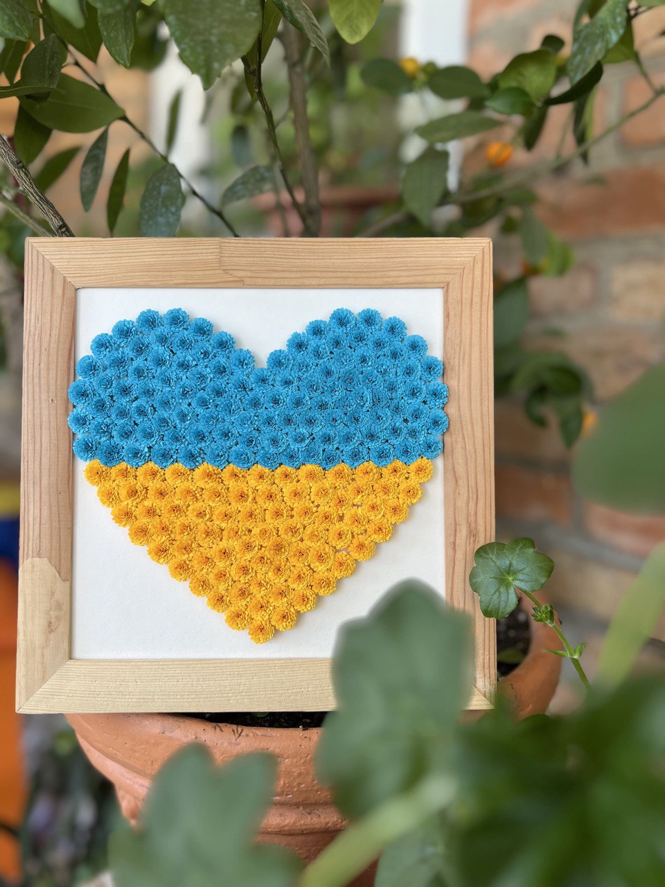 With Ukraine in my heart