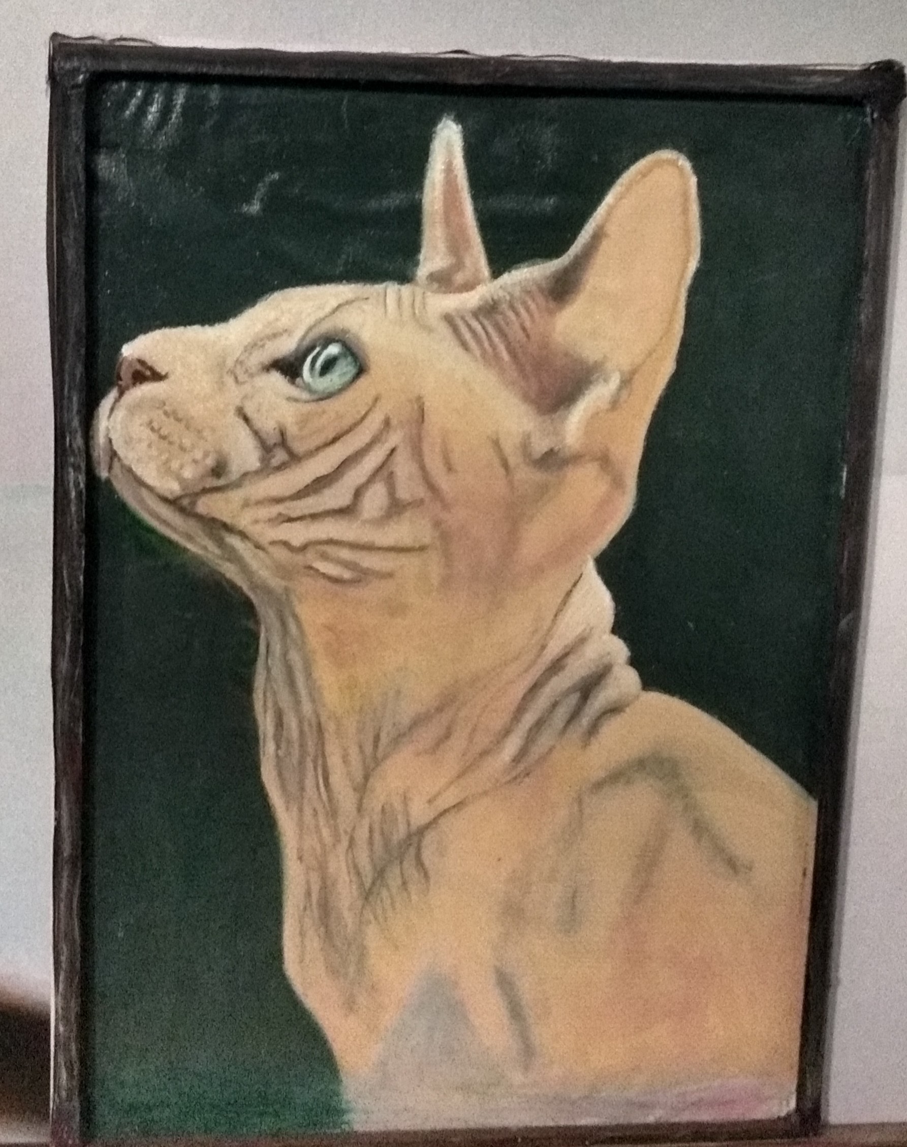 The cat looks at the mistress who applies anti-wrinkle cream