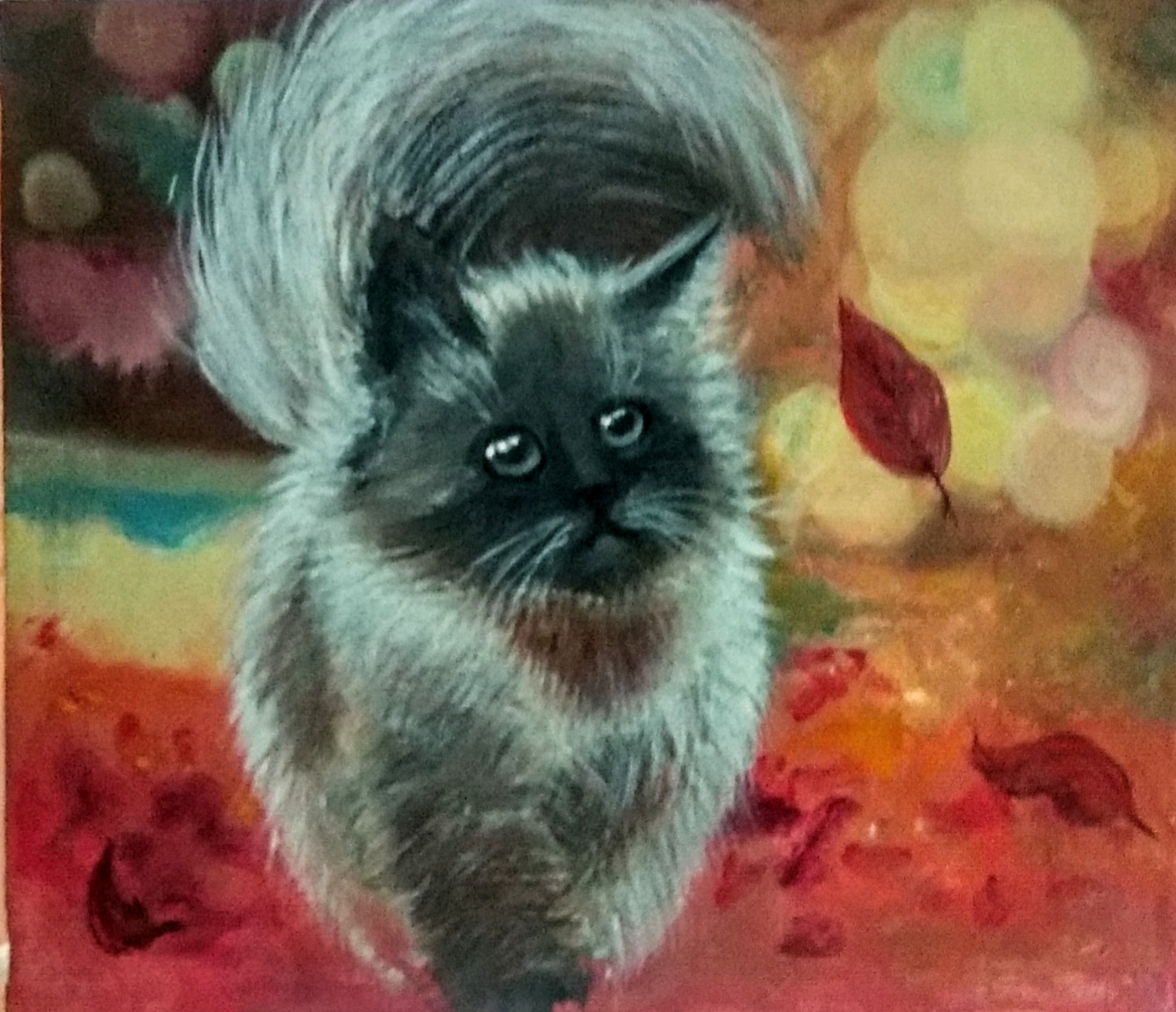 Kitten in the foliage