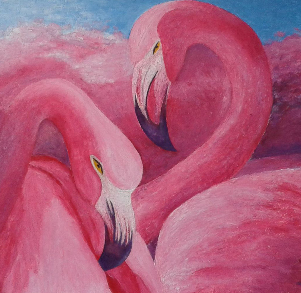 Pink flamingos