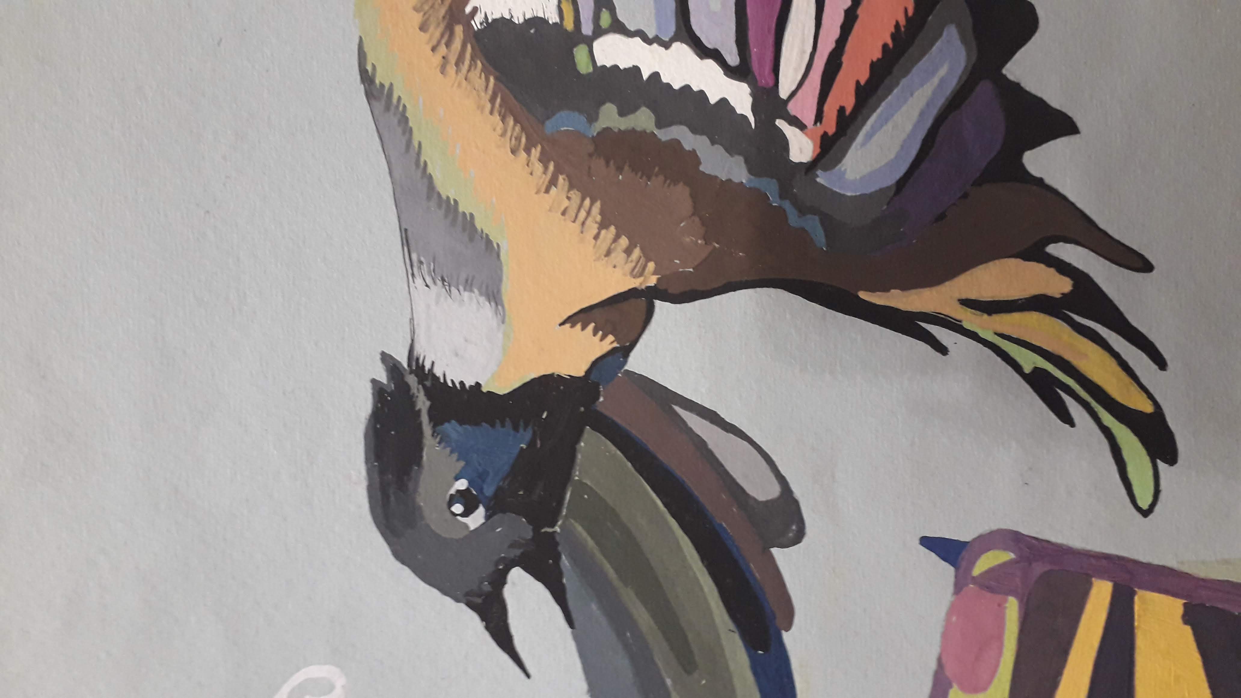 The world through the eyes of birds