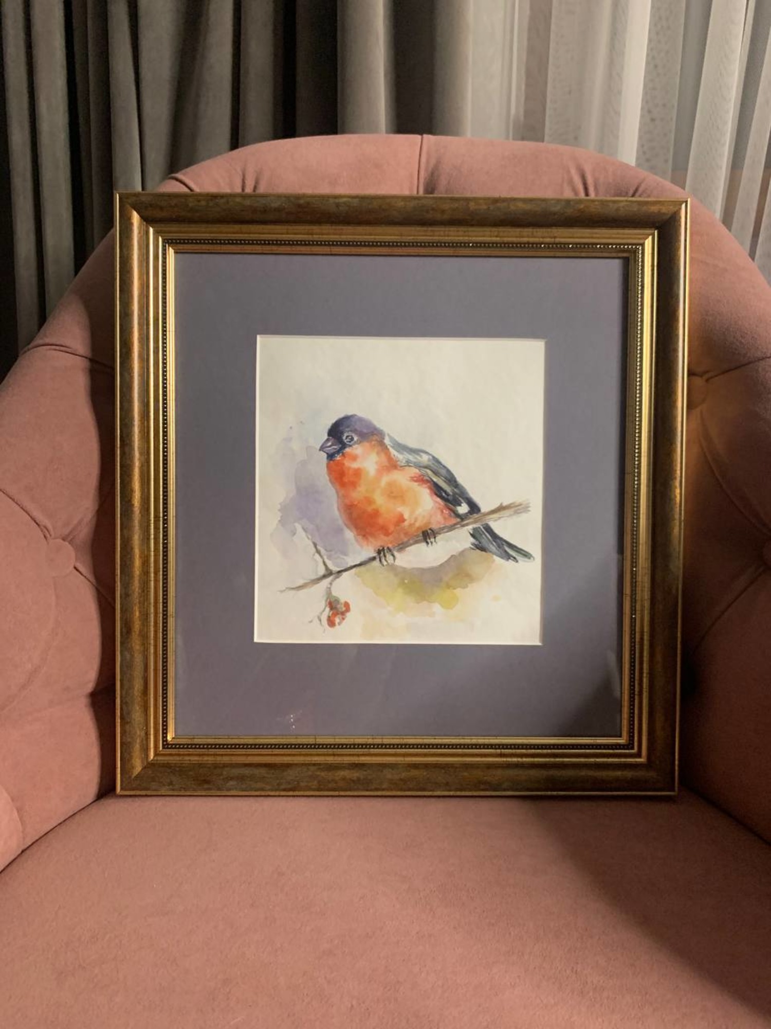 watercolor bullfinch