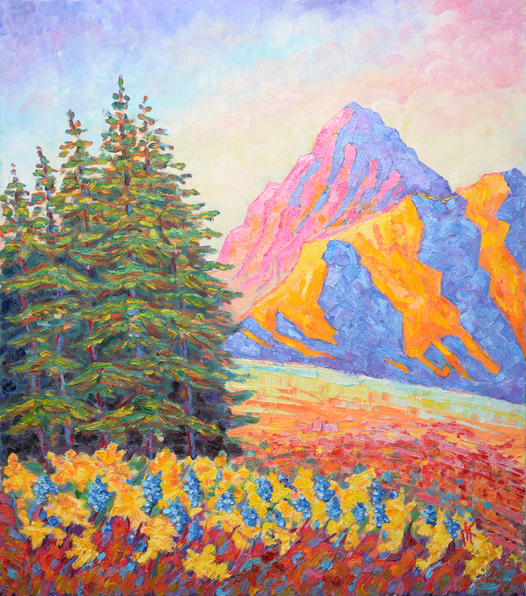 Pine trees in the mountains