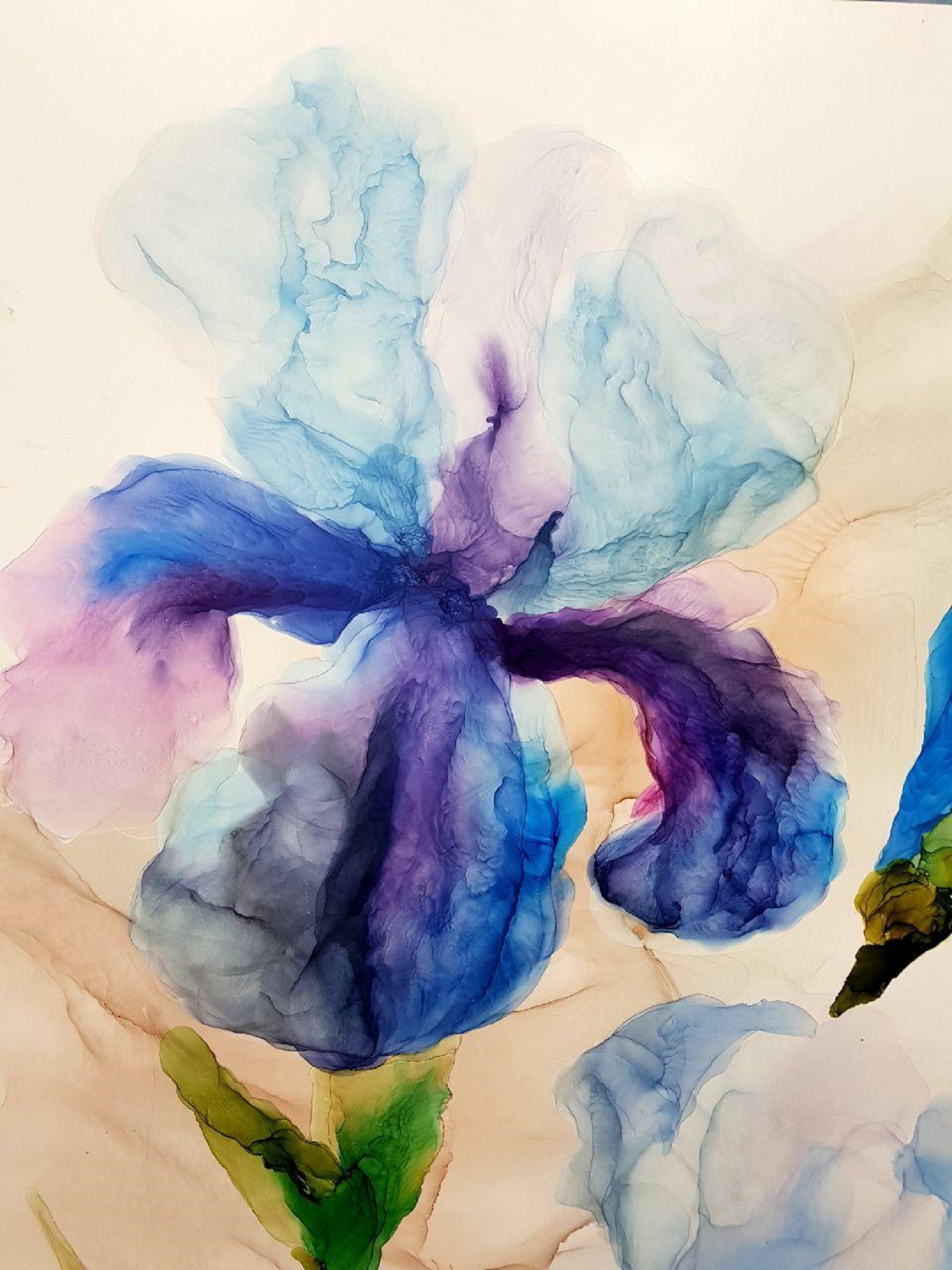 Irises (diptych)