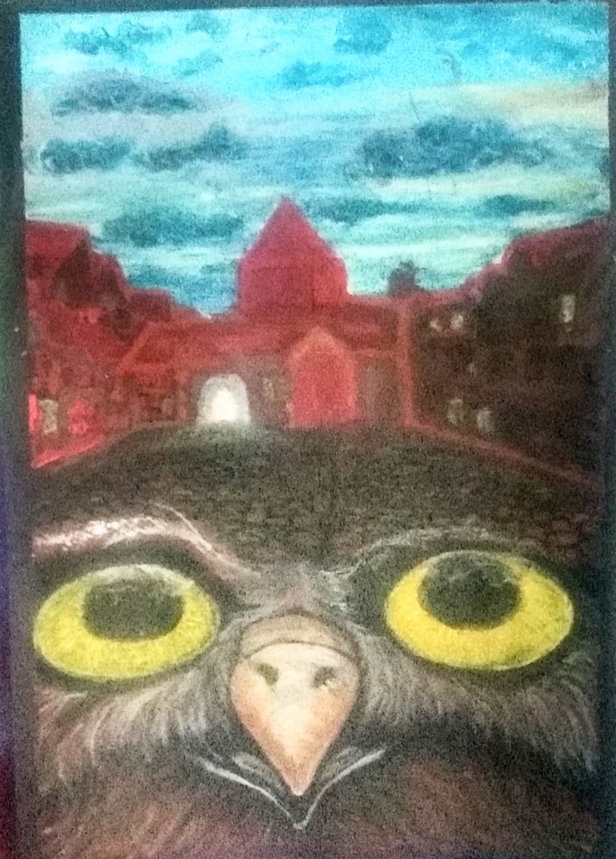 Owl Square